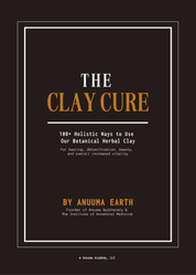 The Clay Cure: E-book