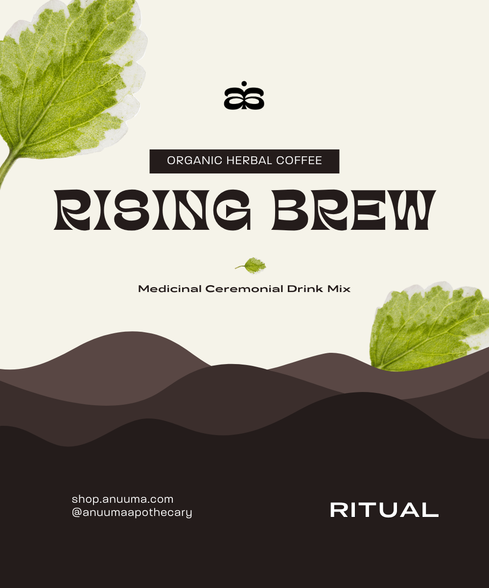 NEW | RISING BREW - Organic Alkalizing Herbal Drink Mix