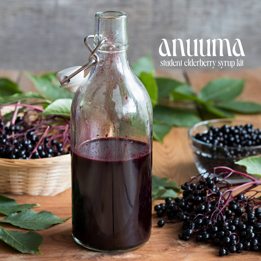 Anuuma Academy | Student Elderberry Syrup Kits